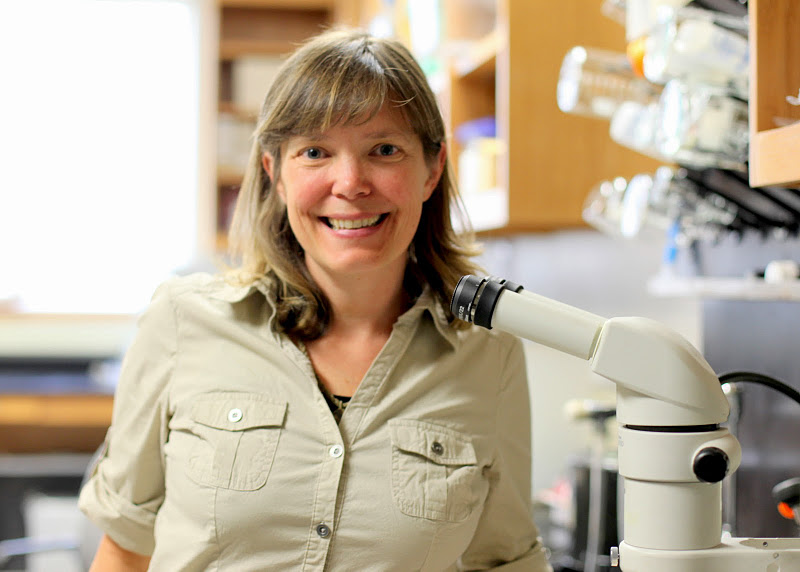 Dr. Alice Gibb