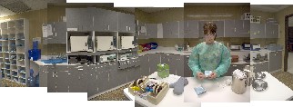 Panoramic view of dental lab stuff.