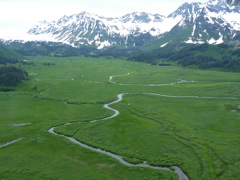 Martin River valley, tributary