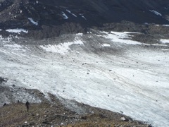 Lupine glacier