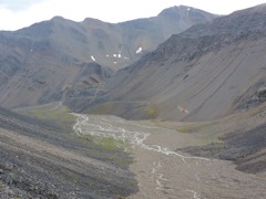 Fireweed glacier valley