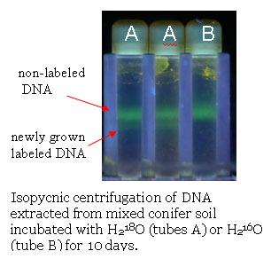Isopycnic centrifugation of DNA