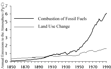 Graph - CO2 release