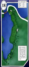 desert_springs-palms-18.jpg (80619 bytes)