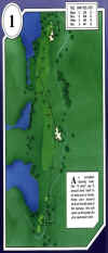desert_springs-palms-1.jpg (66608 bytes)