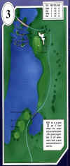 desert_springs-palms-3.jpg (68651 bytes)
