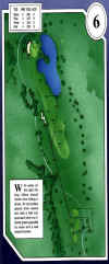 desert_springs-palms-6.jpg (72742 bytes)