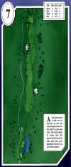 desert_springs-palms-7.jpg (62550 bytes)