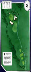 desert_springs-palms-8.jpg (60457 bytes)