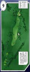 desert_springs-palms-9.jpg (62375 bytes)
