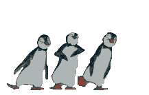 penguins dancing