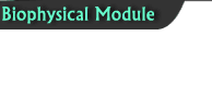Biophysical Module