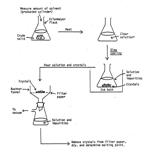Buchner Filtration System