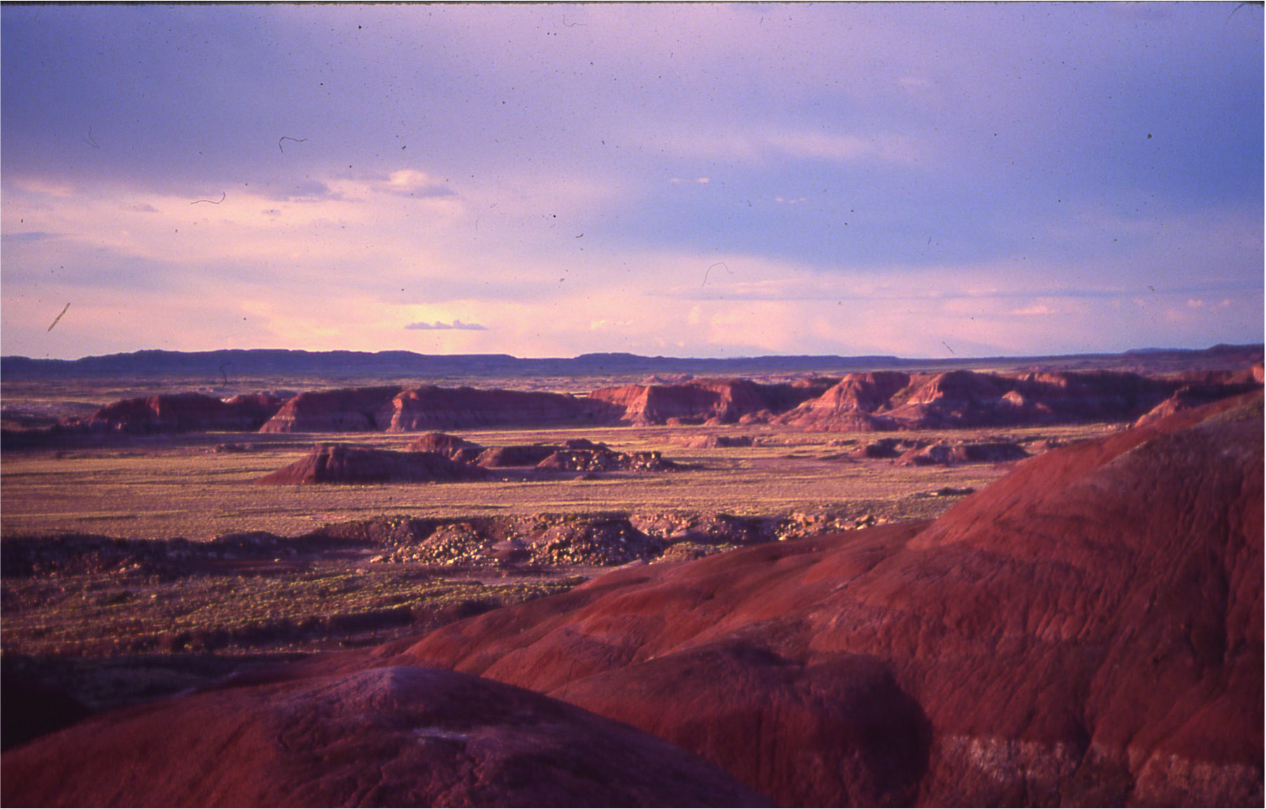 The Chinle Formation