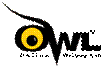 http://toro.azwestern.edu/~zo2/latest/images/owl.png