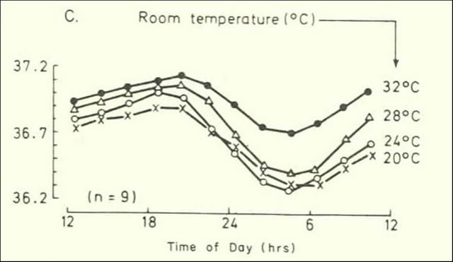 human temperature rhythms:http://scienceblogs.com/clock/2008/04/clock_tutorial_4_on_methodolog_2.php