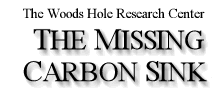 The Missing Carbon Sink