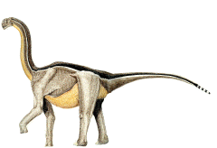 Camarasaurus