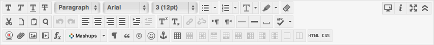 Blackboard's Text Editor toolbar