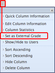 Set External Grade