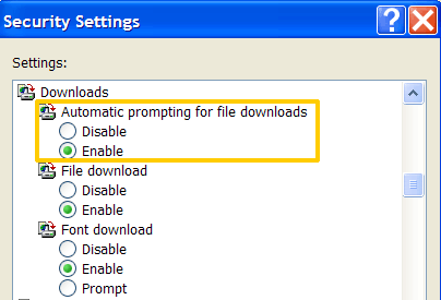 Internet Explorer Security Settings