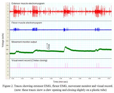 data trace