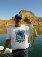 Trolling_6lb_ders.jpg (64590 bytes)