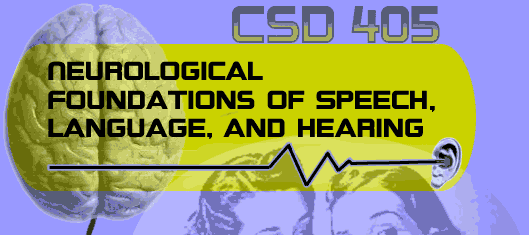 CSD405 Neurological Foundations of Speech, Language and Hearing