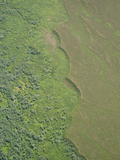 terraces fluvial scaluped edge Ahkluns.JPG