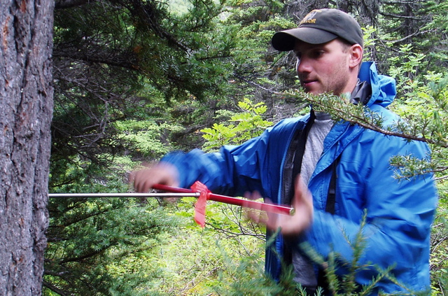 Tom Daigle coring hemlock Goat Lake7