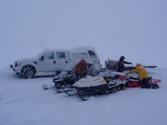 Loading sleds, snowy Cordova