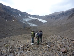 Fireweed glacier