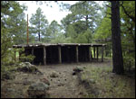 Cohonina culture site at the Williams, AZ, District Ranger Station