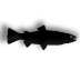 fish.gif