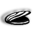 mollusks.gif