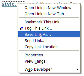 How To Link To An External Cascading Style Sheet (CSS) To An HTML File