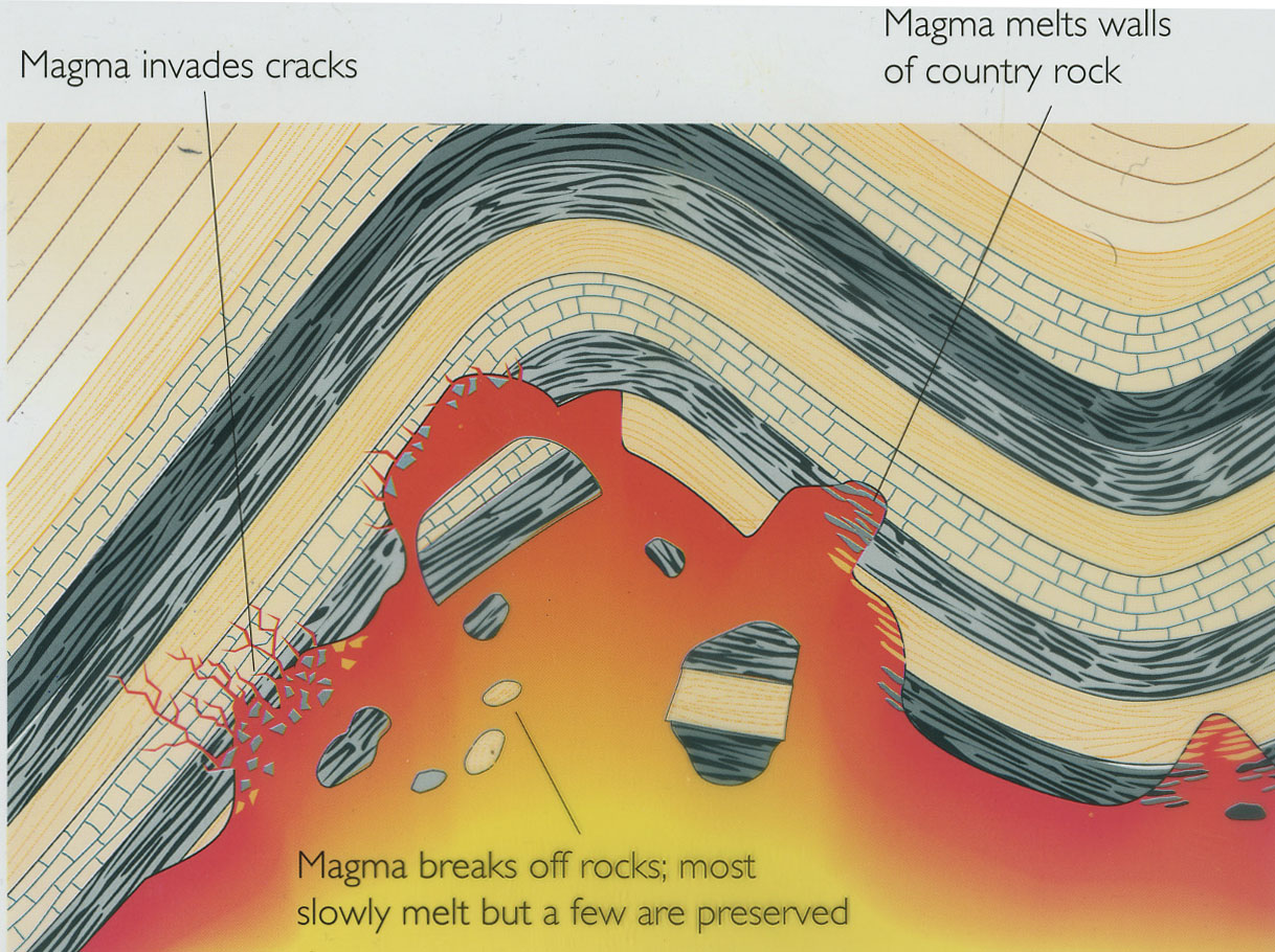 Geology 101