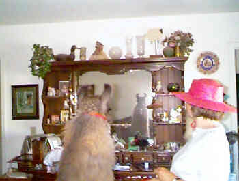 Smokey Mirror
